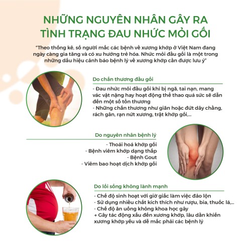 Bảo vệ đầu gối Orange Care Teijin (size:M)